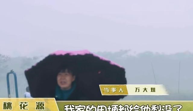 黄磊|向往5：累一上午工钱被扣162元，张艺兴怪杨紫，实际是给黄磊面子