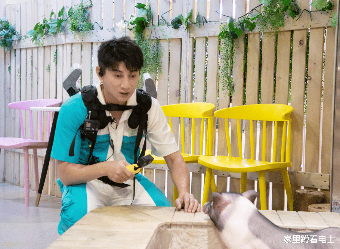 曾黎|50岁吴奇隆的清醒，综艺和偶像剧同时播出，为何没有出戏的尴尬？