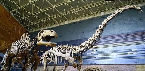 恐龙灭绝 恐龙灭绝的元凶起争议，或许不是小行星，而是让我们更害怕的答案