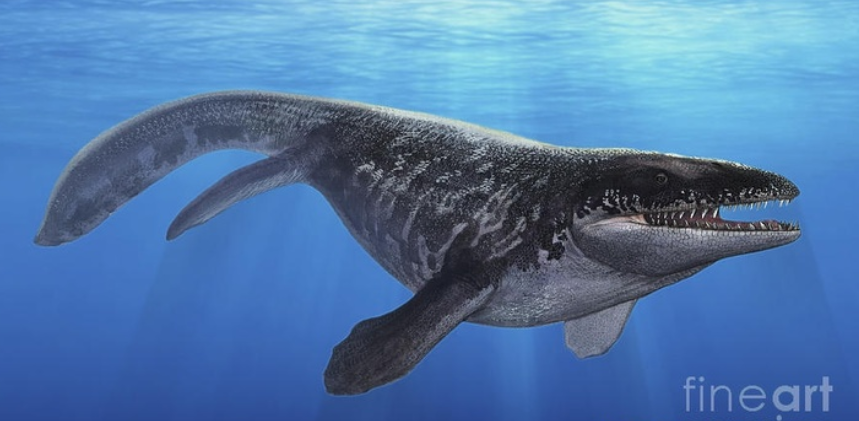 沧龙 沧龙：一只小崖蜥只用了数百万年，就逆袭为白垩纪末的海中梦魇