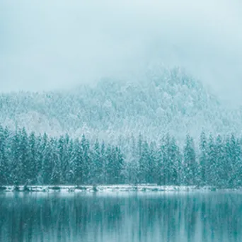 |命局用神与职业的关系