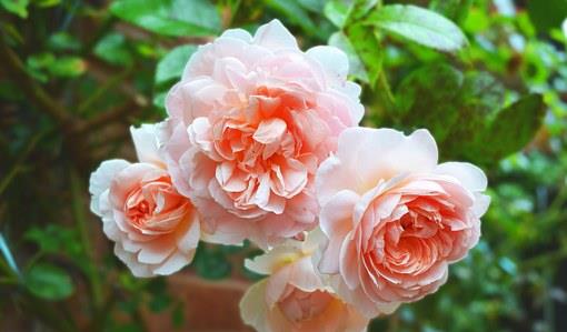 爱的当我上定了的|适合发朋友圈的感悟短语,深刻透彻,值得一读