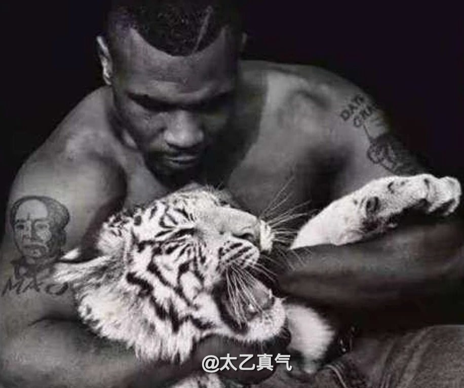 太乙真气 进村东北虎的萌爪一拍车窗破碎，老虎一掌有1000公斤力，武松打虎是假的还是有科学依据？