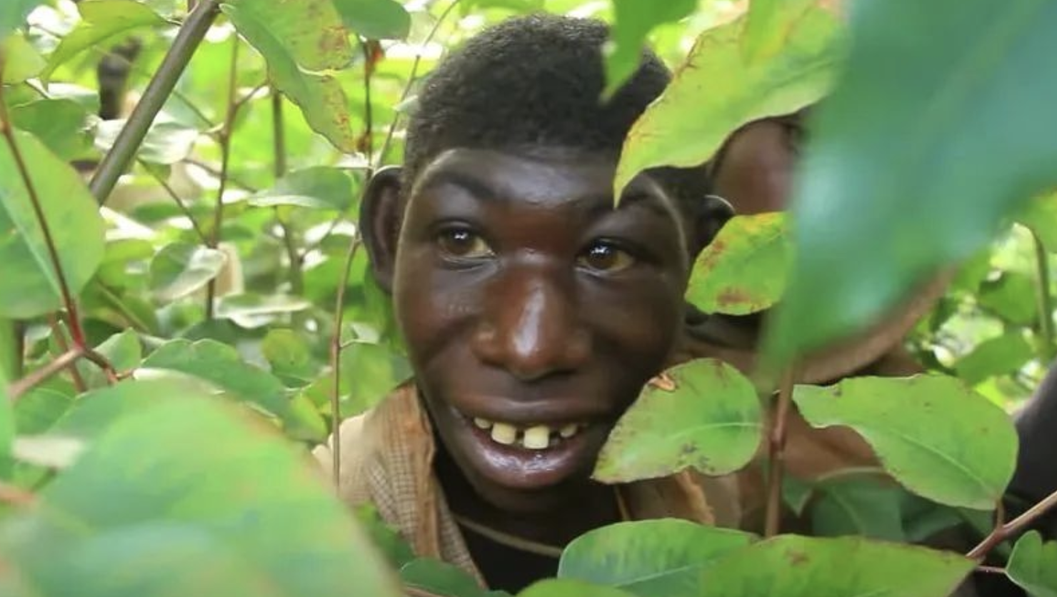 基因 黑种人的基因与白种人、黄种人哪个更近？基因相似性说明了什么？