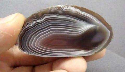 舜网 疯狂的石头!男子山上挖到“七彩石”,富豪出价百万,砸开内部后瞬间倒吸一口凉气