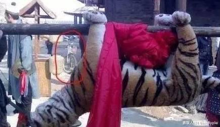 前方高能|海胆式中箭、弹簧式翻墙、手榴弹炸飞机，影视剧镜头能有多奇葩？