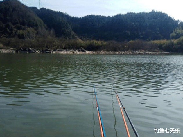 饵料|秋冬钓鱼越钓鱼口越少？鱼饵里面加点“它”，快速进入连杆模式
