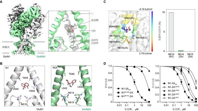 月球 抗抑郁药物研究有了新方向