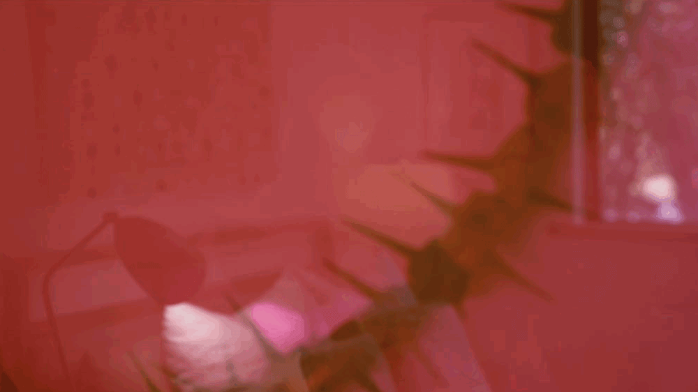 上海妈妈有房不住,20年不断租房搬家:重新装修很上瘾