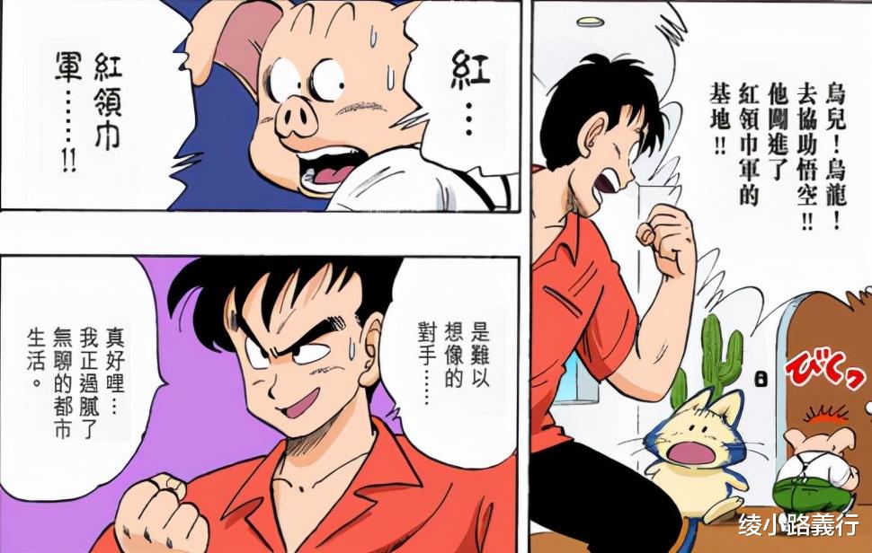 雅木茶|80后漫画鸟山明《七龙珠》：深挖布尔玛与雅木茶最终为何分手？