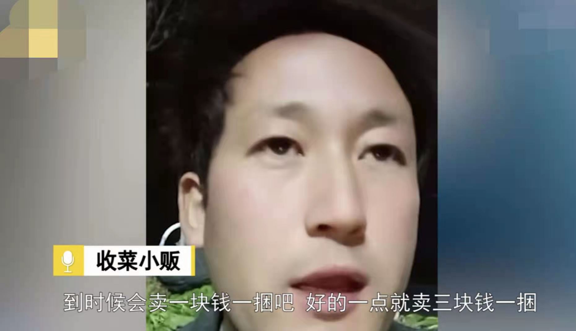 四季兰馨 河北邯郸1300斤菠菜卖15元，打了谁的脸？