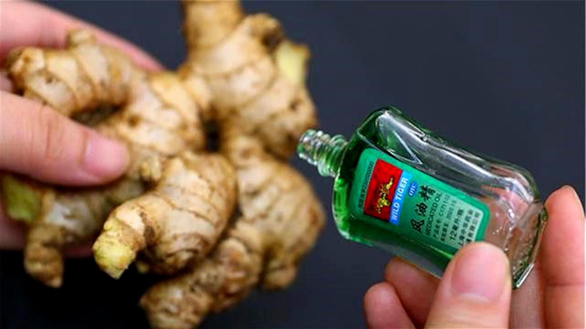 隐翅虫|除了蛇、蚁、蚊，这种昆虫，也是野外钓鱼人的大敌