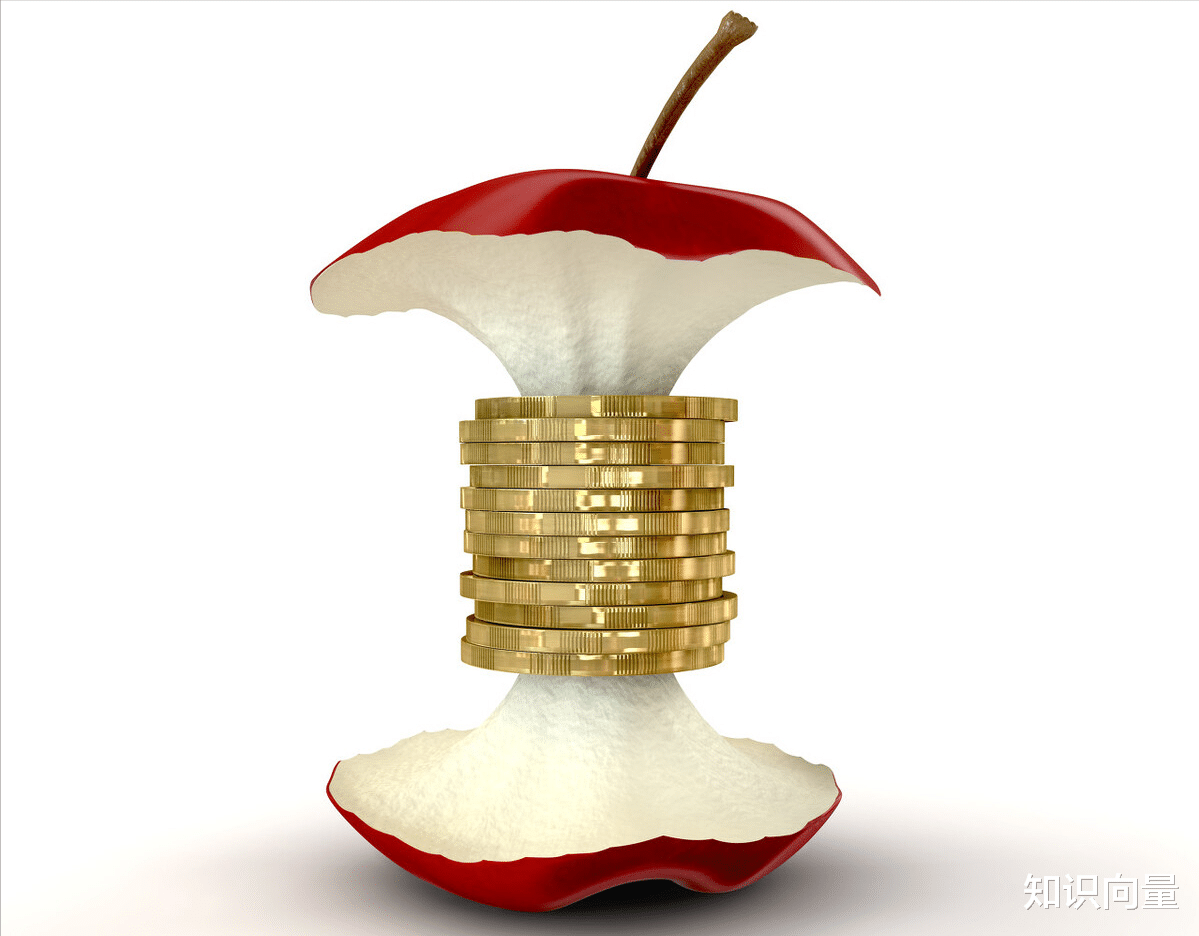 知识向量 投资价值意义的总结和思考