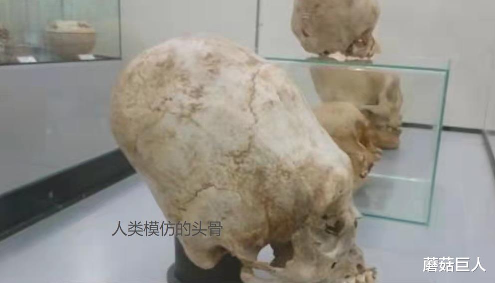 基因 让人无法信的基因检测，战败异星人受困地球，人类无形再添谜团