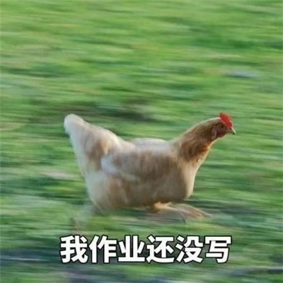 表情包|表情包：作业还没写完表情包可爱一套