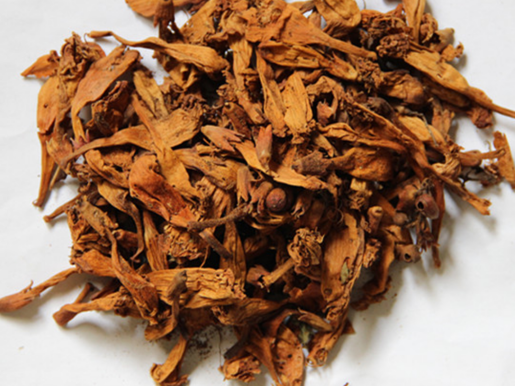 枸杞|身边的中草药——28味毒性中药