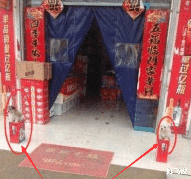 陈飞俊|这女生到底是有多久没谈恋爱了？竟然卑微到这个程度