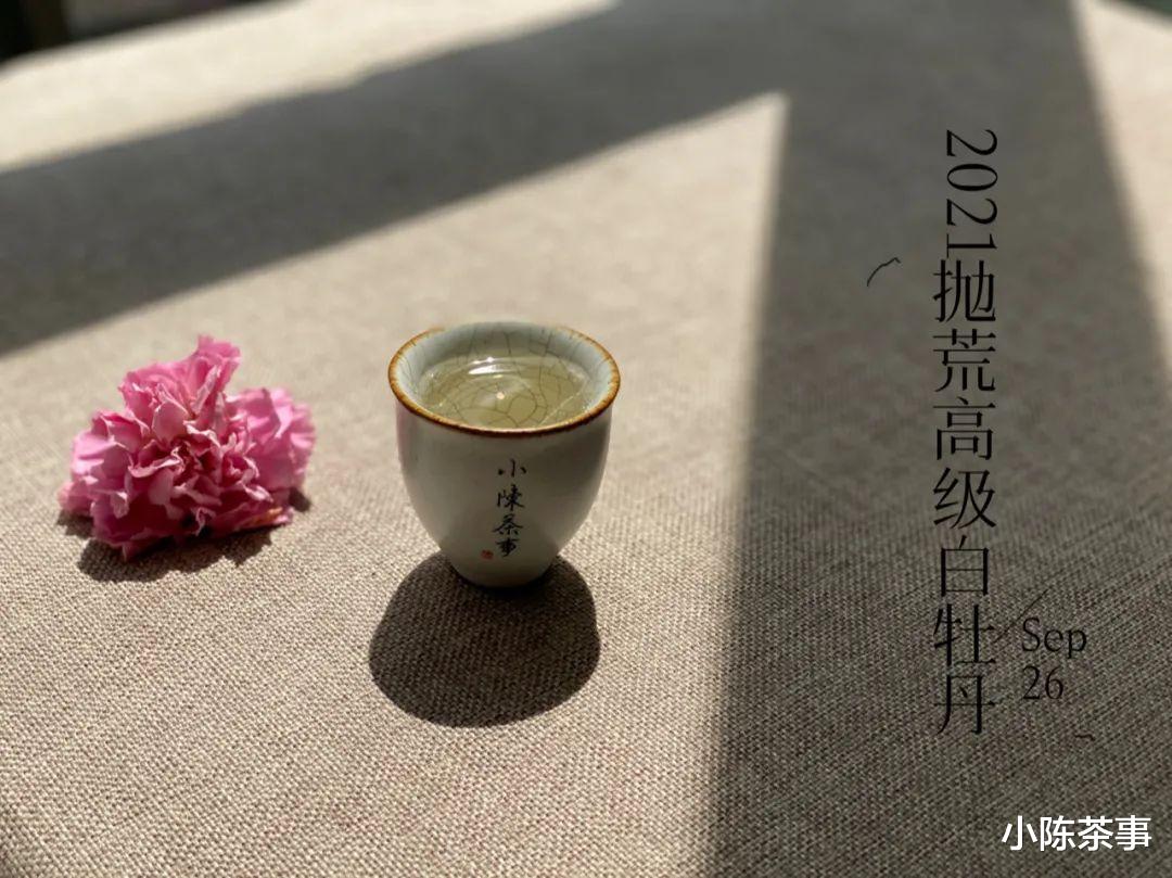 林丹|从家庭主妇，到茶圈达人，村姑陈茶友林阿姨的不惑之年，很生动！