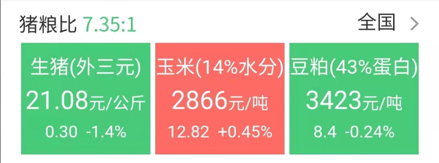 黄金 局地猪价翻盘暴涨！五一大反攻“吹响集结号”？附：4月11日猪价