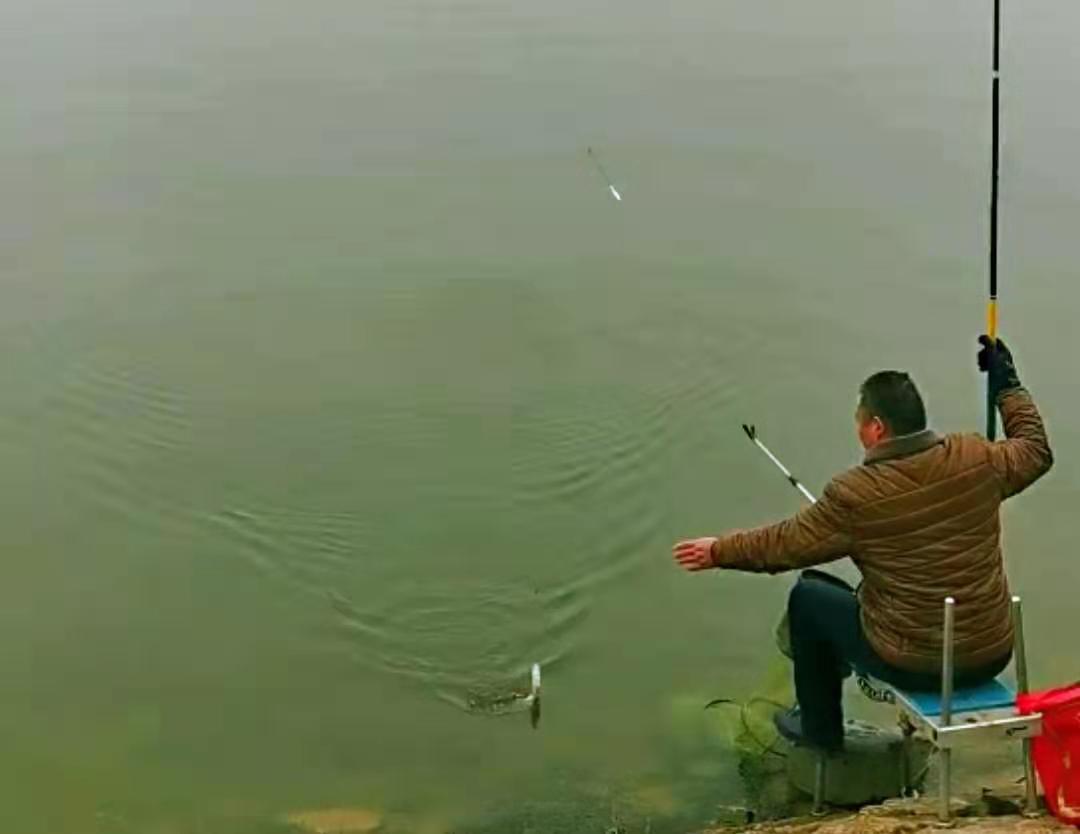 饵料|元宵节适不适合钓鱼 ？如何钓好鱼 ？钓鱼人眼中不一样的节日