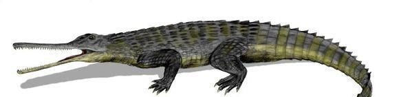 鳄鱼 鳄鱼家族有多倒霉？努力两亿年，每次都在要称霸时被地球“针对”