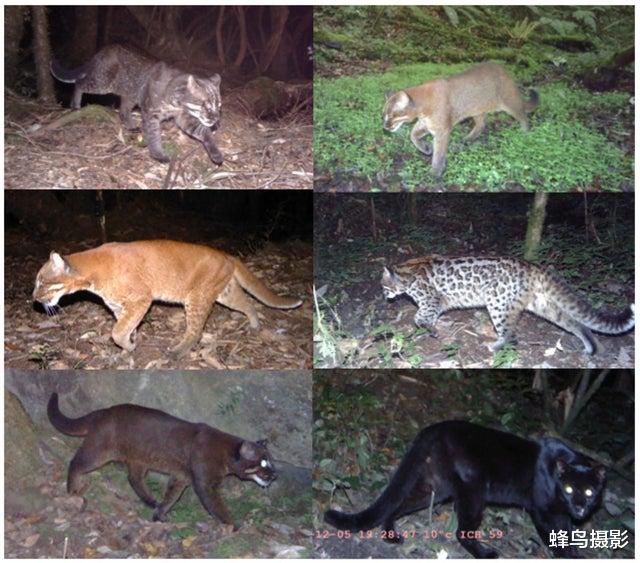  25张活久未见的照片，炸弹在几公里外爆炸，冲击波几秒钟就到眼前