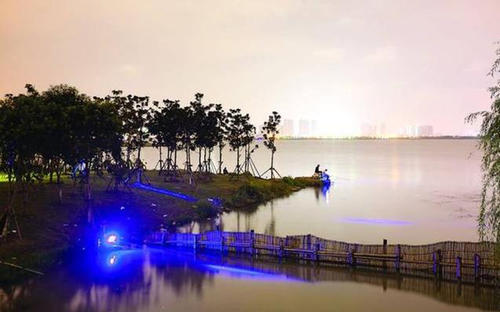 |野外夜钓三要素,安全有保障,渔获也有保证