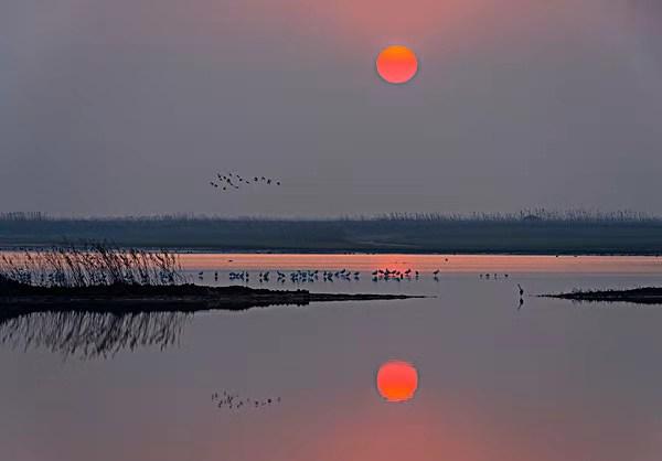 陆朝阳 宇宙中有外星人吗？