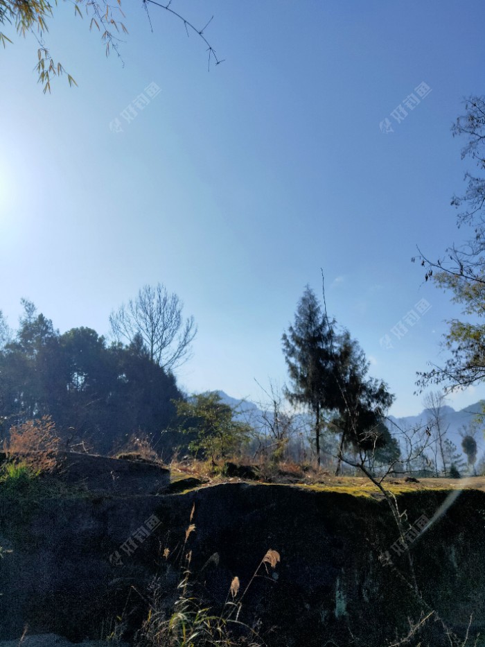 水库|今年最后一钓了，从新手到现在所有鱼获