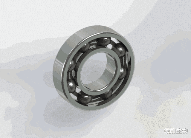 火龙果|你知道吗？全身关节这么多，为什么偏偏膝关节最容易发炎？