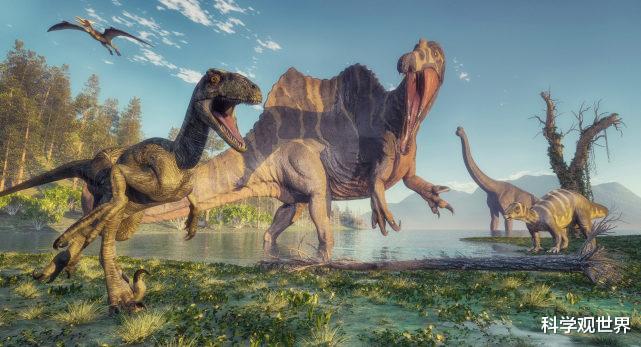 昆明宣言 一颗陨石是如何让全球的恐龙灭绝？那次撞击之后地球发生了什么？