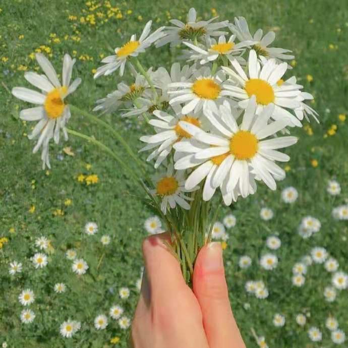 |这就是你说要好好搞钱后的真实写照