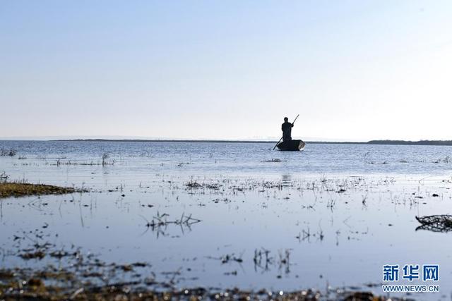 中工网 共建地球生命共同体丨守护候鸟平安
