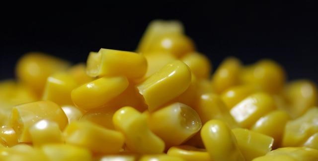 木马|要想鱼上岸，就拿粮食换！用这5种打窝方法，利用好每一粒窝料！