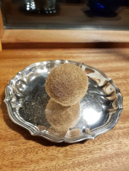 奇怪的知识又增加了(1)难以置信这竟是地球的知识!