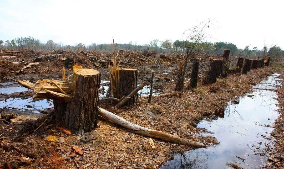 太阳系 一颗红矮星正逼近太阳系,留给人类的时间,最多还有150万年?