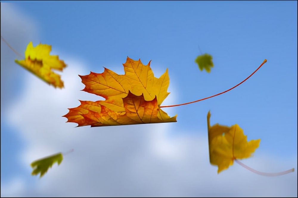  我们为何对死亡恐惧?