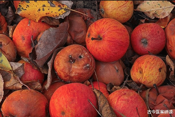 痛风|养肝“冠军”已发现，并非木耳，你若爱吃，肝一天天变健康
