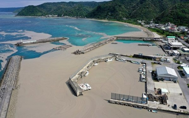 日本火山爆发,产生大量浮石,鱼腹塞满浮石,这种浮石2元一斤