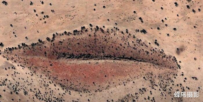  40张一眼会看错的照片，图3至少看三遍否则看不懂，大脑欺骗了你