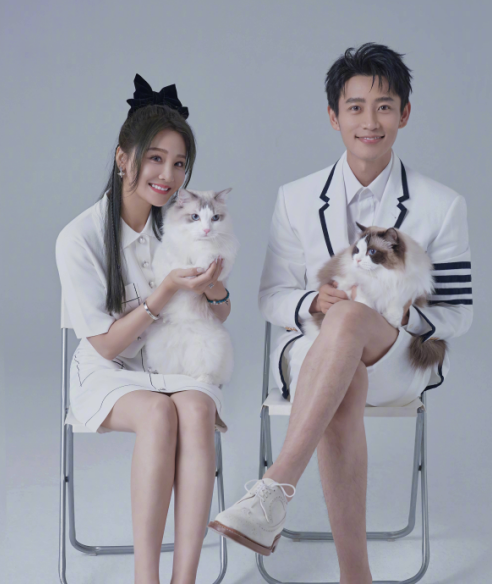 苏醒|昔日快男亚军苏醒卑微求职,晒出个人简历,为啥会沦落到这种地步?