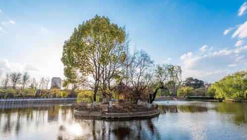 奶球妈咪聊 这座城市四季如春物价低,医院多达322家,被称“养老胜地”