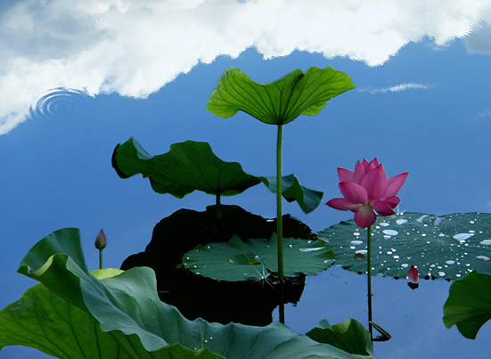 |到了6月下旬，4属相喜事登门，横财连发，日日有喜，生活充满希望