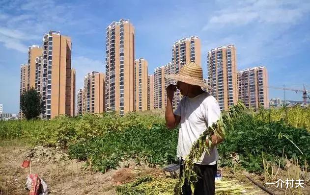 宅基地|宅基地一户一宅，几人算一户？一宅咋认定？城里买房算多宅吗？
