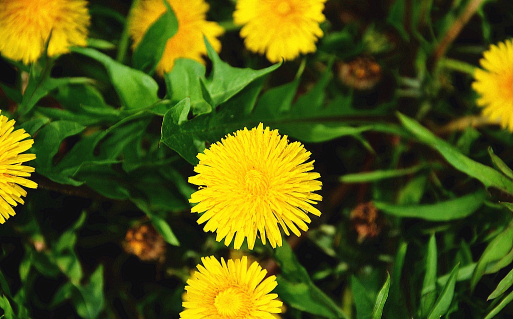 星座神巫|不吃“回头草”的星座，分开后难复合，别轻易说分手