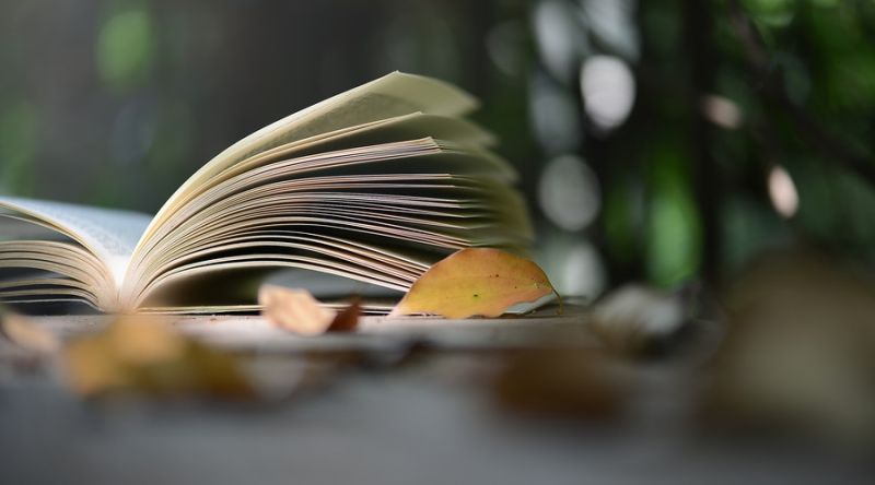 玄风八字感情|日月干支这样组合是命犯二婚的人