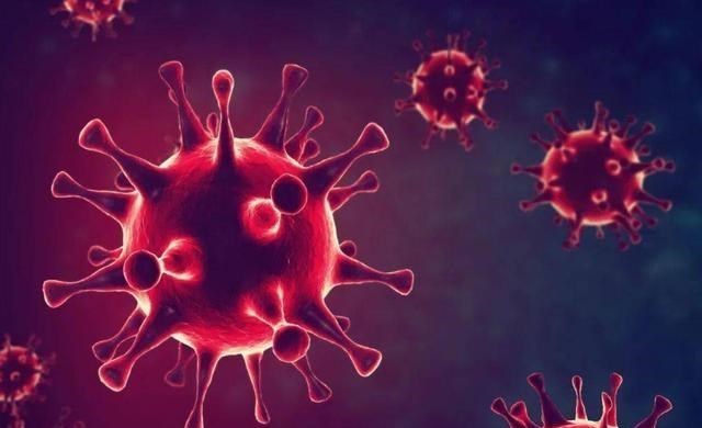 北极 北极“高烧”不断，史前生物遗骸接连出现，冰层下的病菌或将苏醒