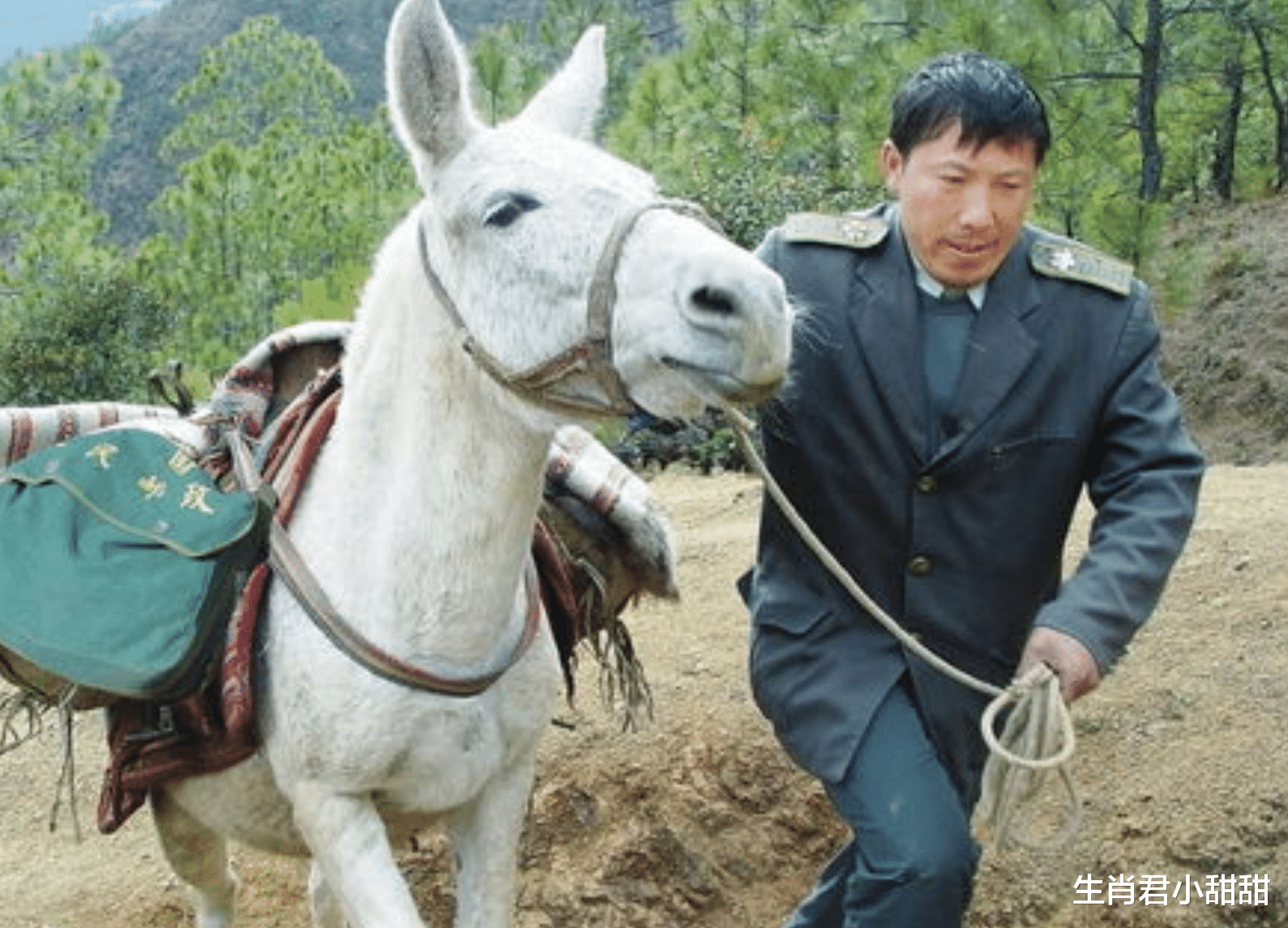 高跟鞋|12月下旬属马人存款花不完，不缺赚钱机会，财神相助财运多多