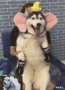 神武星人|“跟女友秀叠词，还能不能再污点？瞬间毁了三观！”哈哈哈