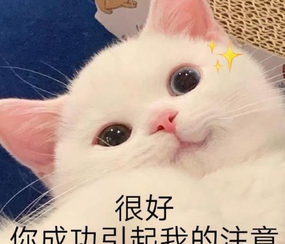 短发|为什么很多大牌护肤品都要求“建立皮肤耐受”？看完你就明白了